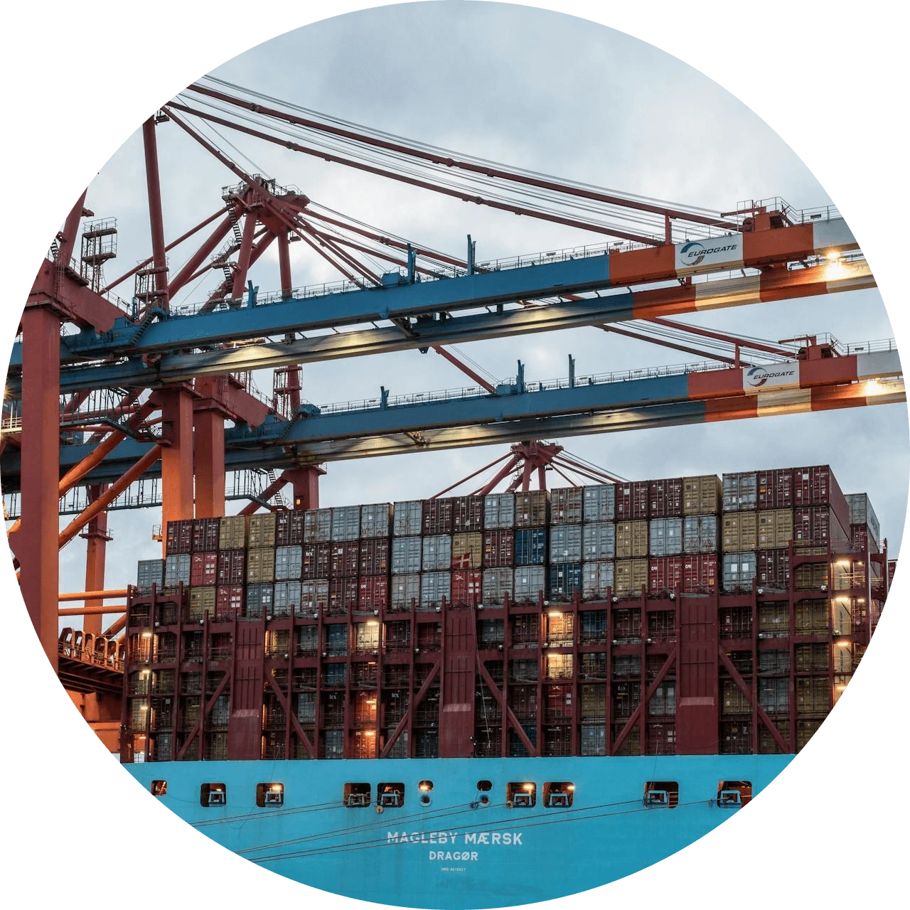 pexels-wolfgang-weiser-467045605-23380999-photoaidcom-cropped